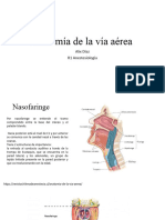 Anatomía de La Vía Aérea