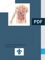 Wuolah Free ANATOMIA Y FISIOLOGIA Resumen Chima Luis