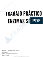 TP - Enzimas Sericas - Texto - 2023