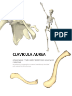 Clavicula Aurea
