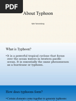 Typhoon Preparedness Guide for Okinawa | PDF | Tropical Cyclones | Typhoon