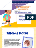 Sistema Motor