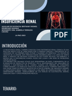 Insuficiencia Renal