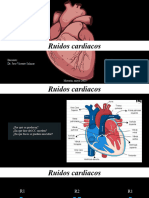 ficha ruidos cardiacos