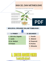 Substansi Kimia Sel Dan Metabolisme