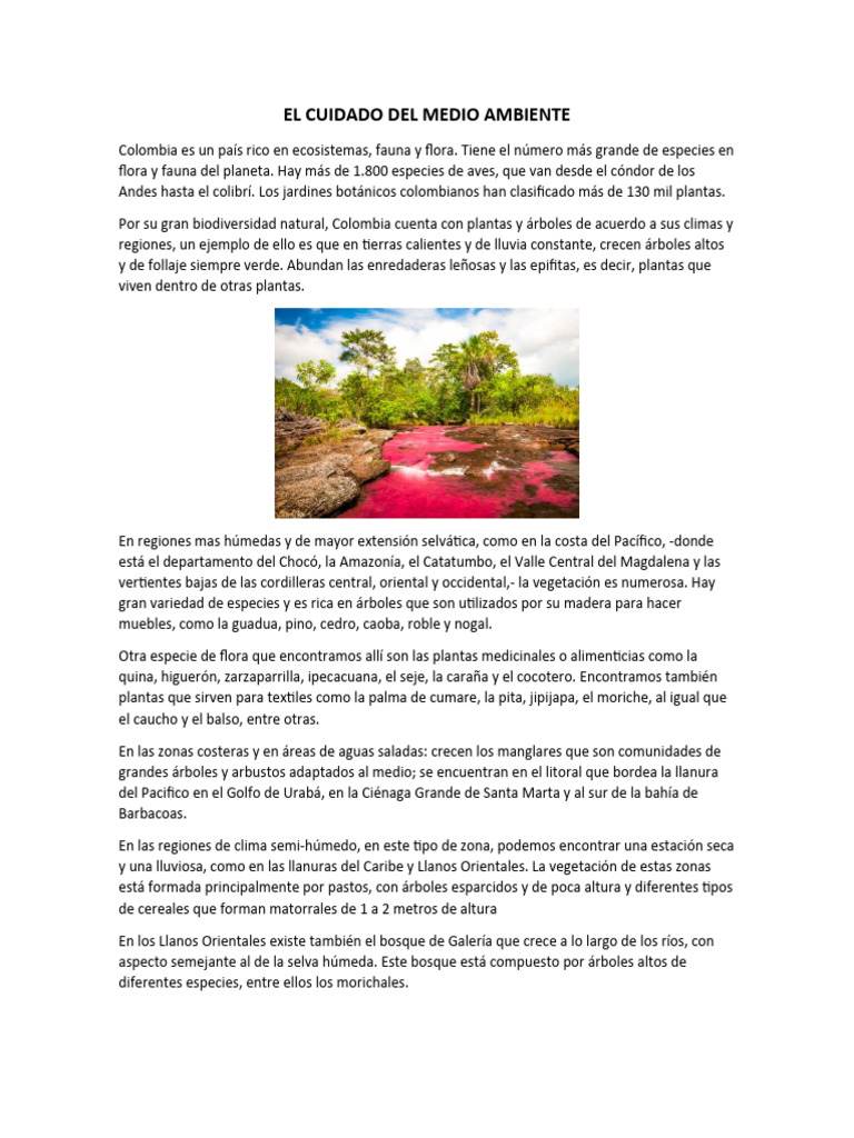 El Cuidado Del Medio Ambiente | PDF | Residuos | Reciclaje