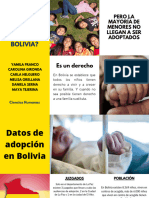 ¿Es Eficaz El Sistema de Adopción en Bolivia