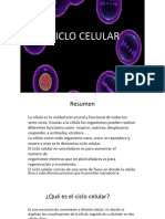 Ciclo Celulr IQ. Jhaneth M