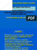 C 1. Introduccion Al Metabolismo. Ciclo de Krebs