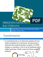 OrÍgenes Genética Bacteriana