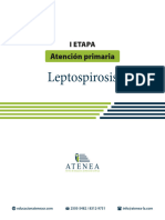 R AtencionPrimaria Leptospirosis