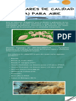 Infografias Sobre Parametros Del ECA para Aire
