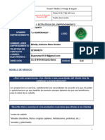 Formato Modelo y Estrategia de Negocio-1