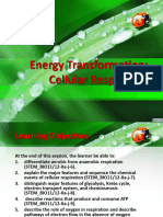 Session No. 3.2. Energy Transformation Cellula