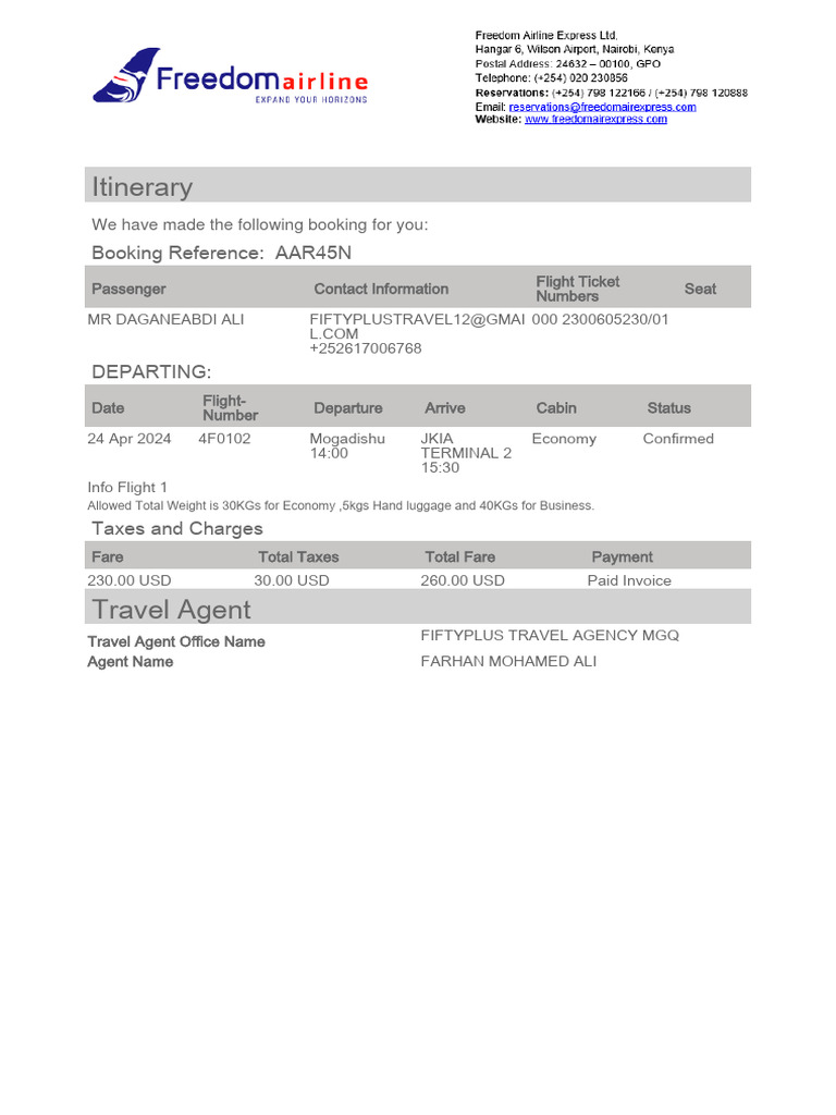 E Ticket Pdf Airlines Transport