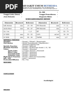 Echocardiography Report Template | PDF