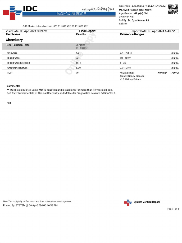 Patient Report PDF | PDF