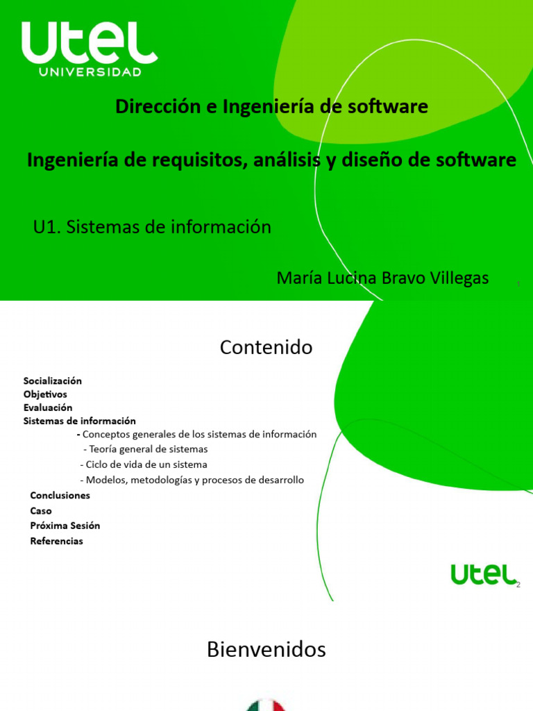 Sistemas de Información y TGS | PDF | Software | Ingeniería de software