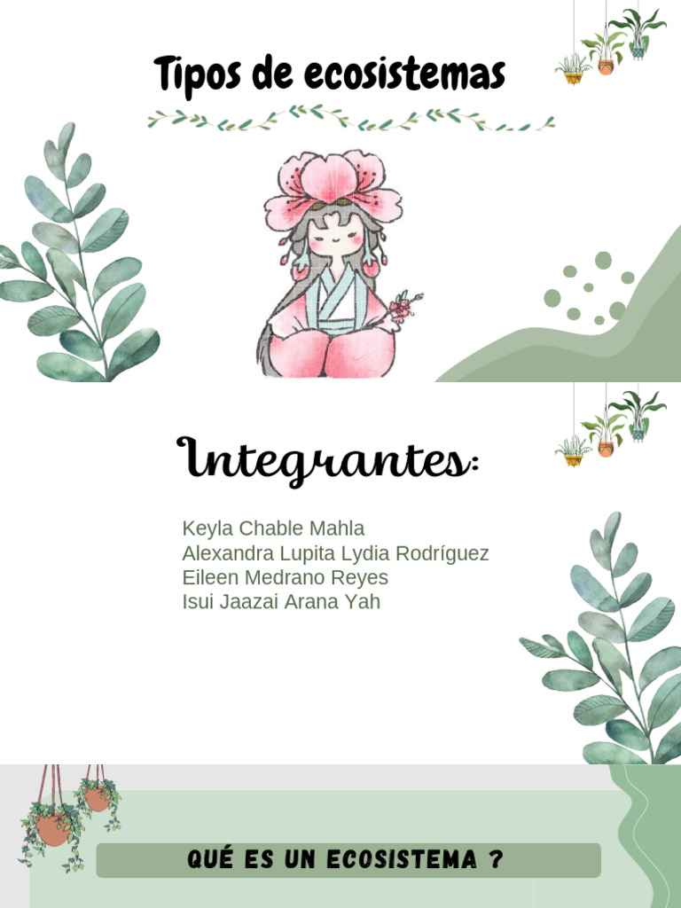 Tipos Ecosistemas | PDF | Ecosistema | Los bosques