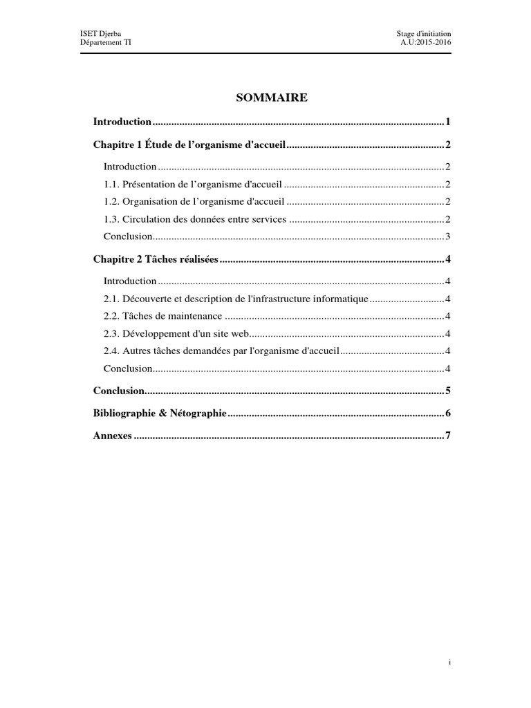 Rapport de stage en informatique TI | PDF | Internet | Internet et Web