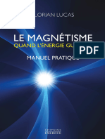 Le Magn 233 Tisme - Quand L 39 233 Nergie Gu 233 Rit - Manuel Pratique - Florian Lucas