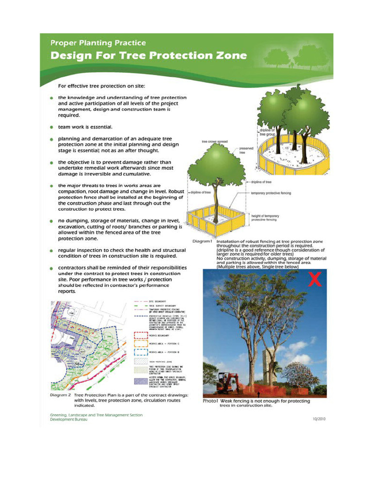 Design For Tree | PDF