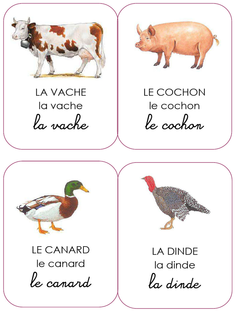 Liste des animaux de la ferme | PDF