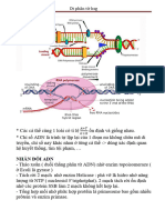 Lưu Ý HSG DT Phân T