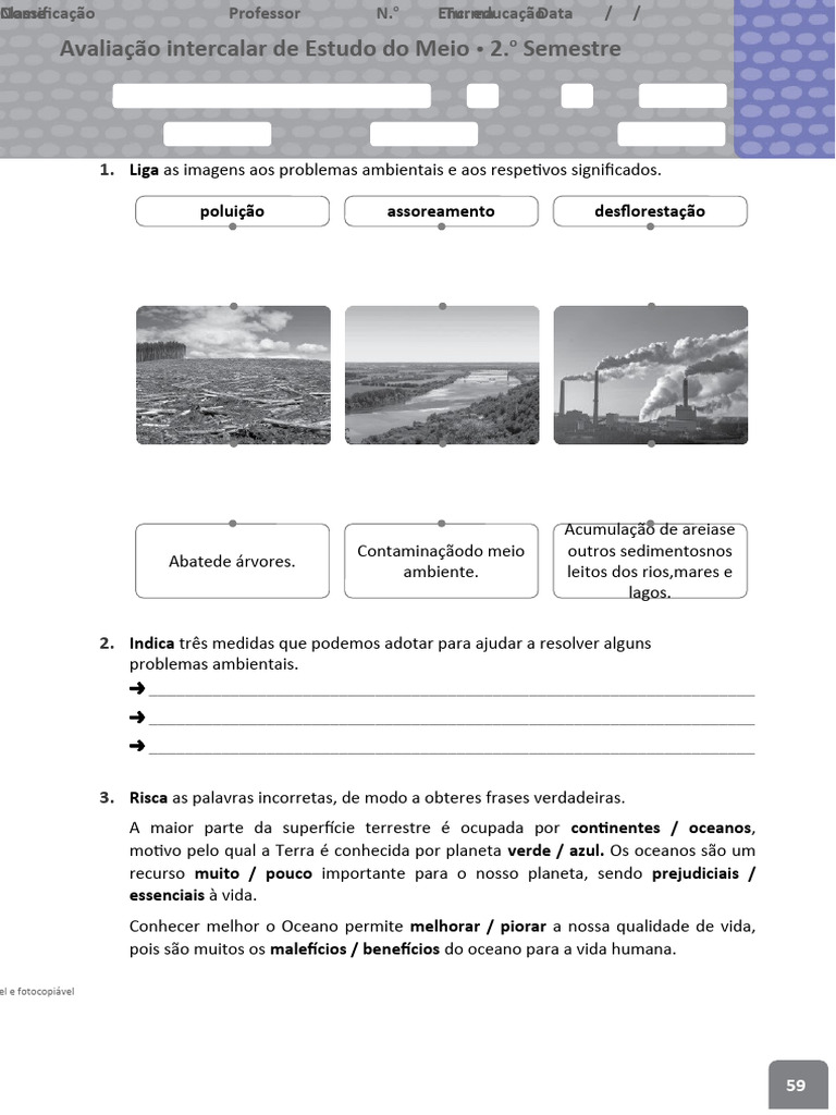 Avaliação Intercalar Estudo do Meio 3º Ano | PDF | Terra | Ambiente natural
