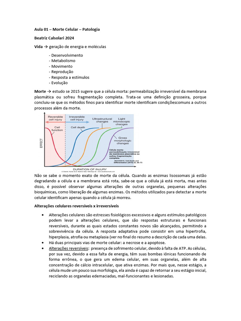 Tipos e Mecanismos da Morte Celular | PDF | Apoptose | Necrose