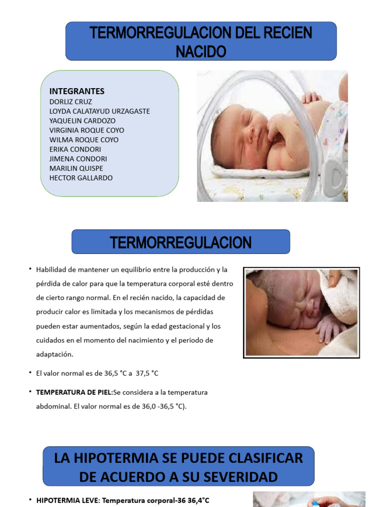 Termorregulacion Del Recien Nacido Pdf Termorregulación Hipotermia
