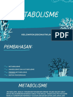 Metabolisme (Zigomatikum)