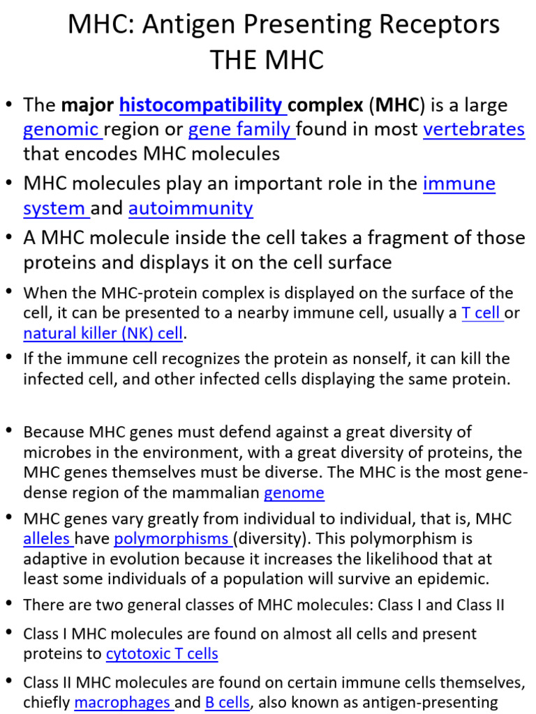 MHC Antigen Presentation Overview | PDF | Major Histocompatibility ...