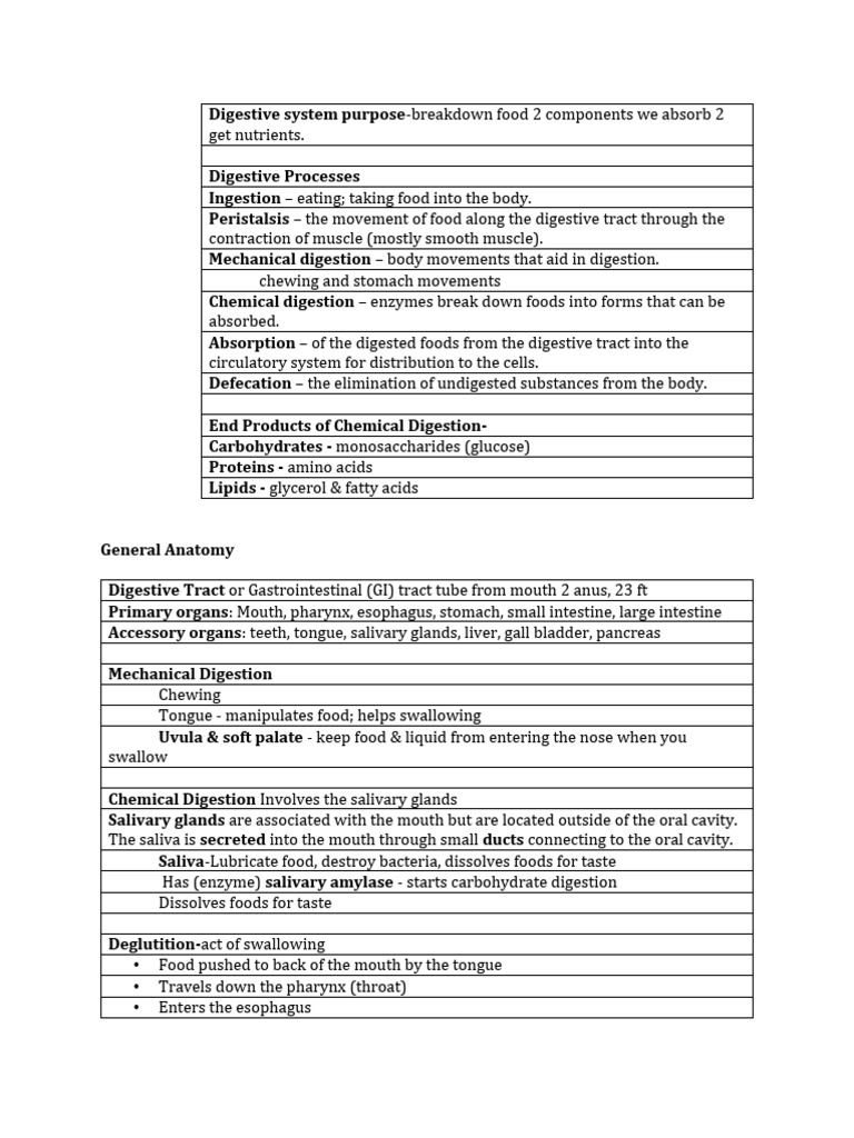 Bio 101 digestive study test guide download free pdf stomach