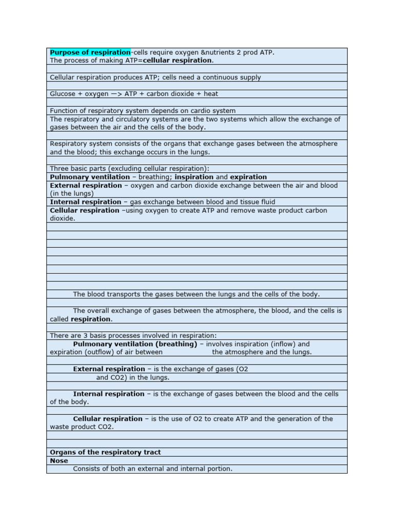 Bio 101 Respitatory Test Study Guide Pdf Respiratory System Lung