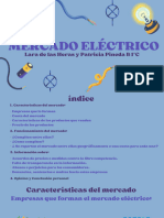 Mercado Eléctrico Lara de Las Heras y Patricia Pineda