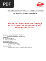 Protocole Stanish pour Tendon d'Achille | PDF