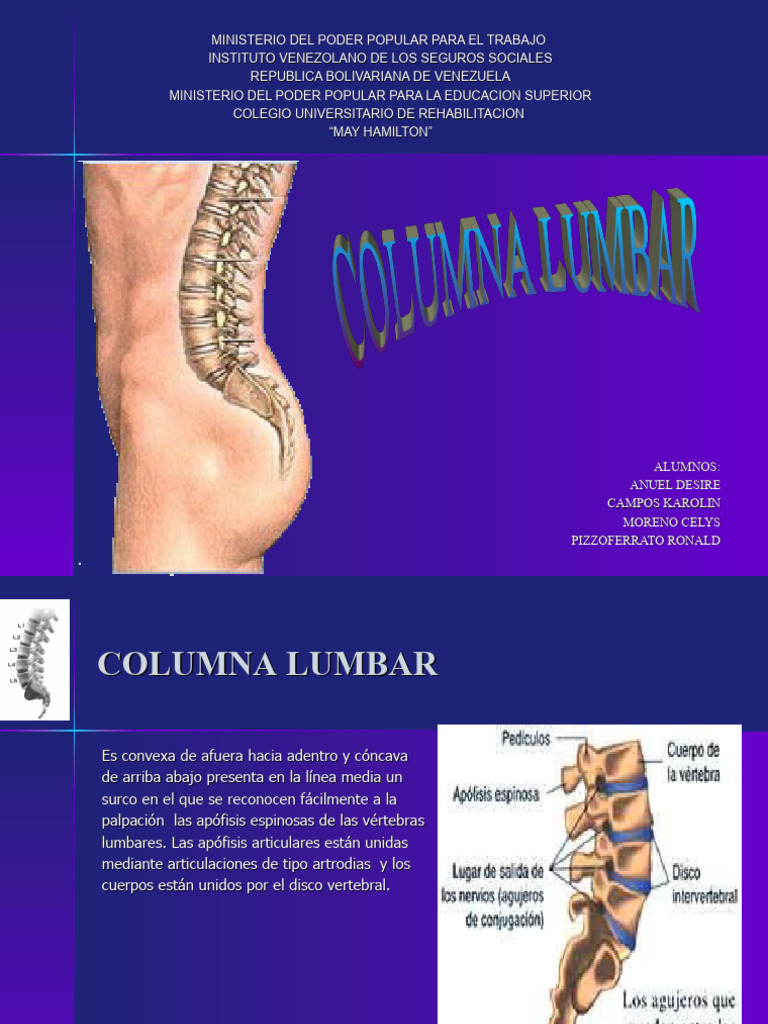 Anatomía y Función de la Columna Lumbar | PDF | La columna vertebral ...