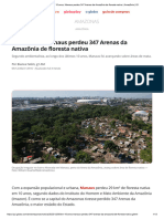 Em 10 Anos, Manaus Perdeu 347 Arenas Da Amazônia de Floresta Nativa - Amazônia - G1