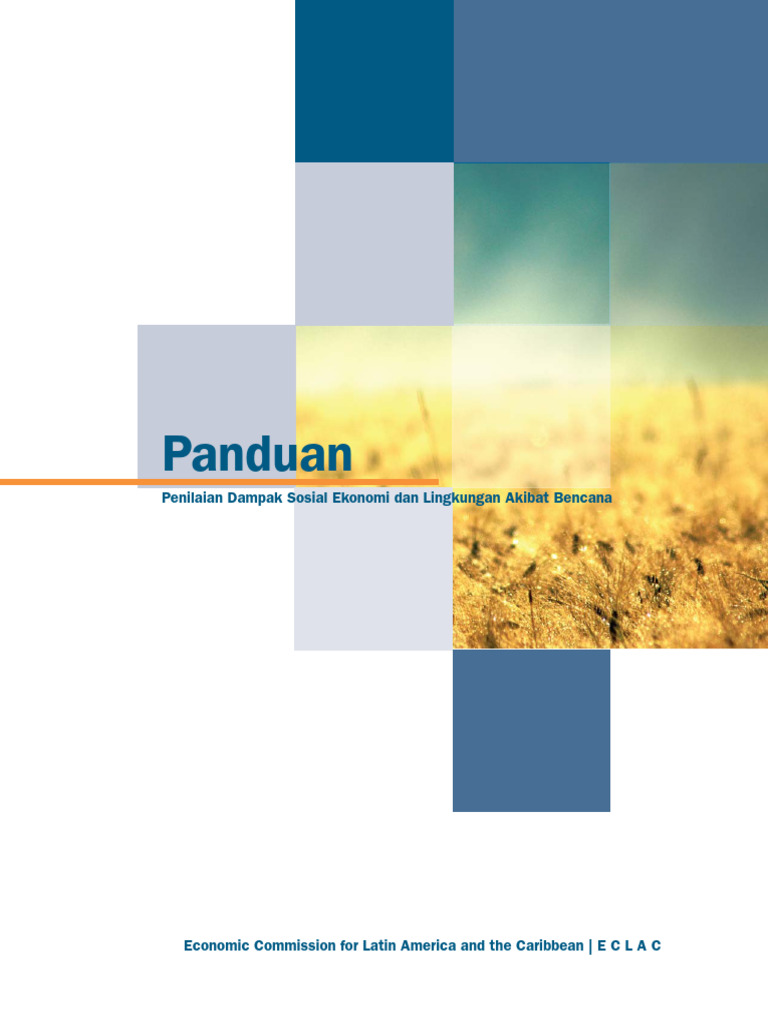 Panduan Damage And Loses Assesment Pdf