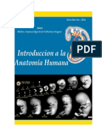 Introduccion A La Anatomia 12va Edic 2024