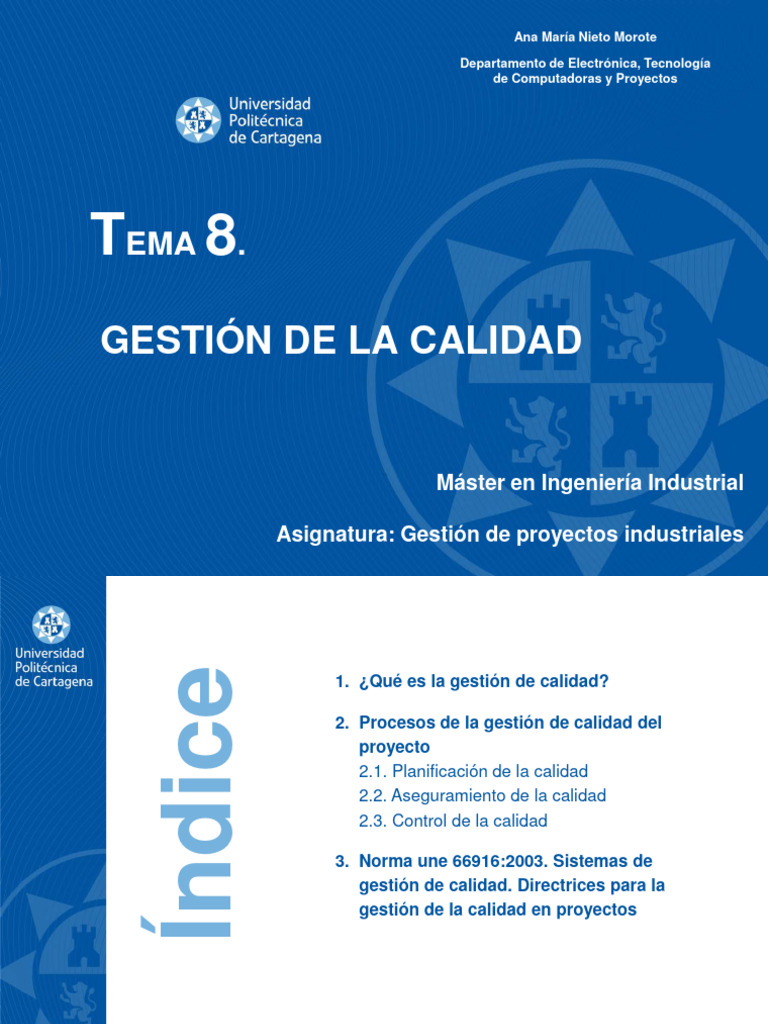 Gestión de Calidad en Proyectos Industriales | PDF | Calidad (comercial ...