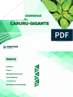 Ebook MPD Plantas Daninhas No Brasil Caruru Gigante