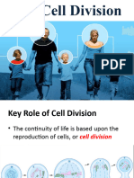 The Cell Division