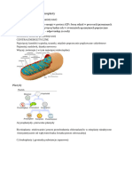 Mitochondria I Chloroplasty