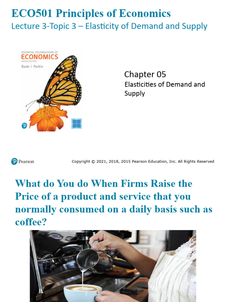 L3 Elasticity of Demand and Supply | PDF | Elasticity (Economics) | Demand