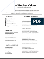 04 Curriculum Profesional Sencillo