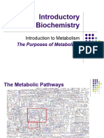 7.introduction To Metabolism Complete