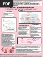 Natifa Pro UBD Bula Paciente | PDF | Menopausa | Câncer