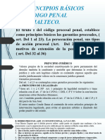 2. LOS PRINCIPIOS BÁSICOS DEL CÓDIGO PENAL GUATEMALTECO